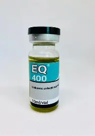 OIP-24.webp