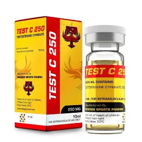 download-31.webp